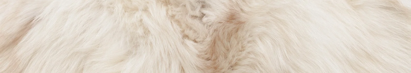 Collection Hiver 2025